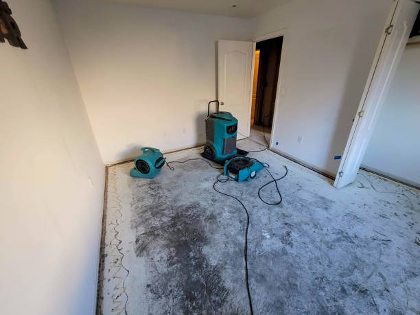 Best 24/7 water damage repair  in Dallas Center, IA