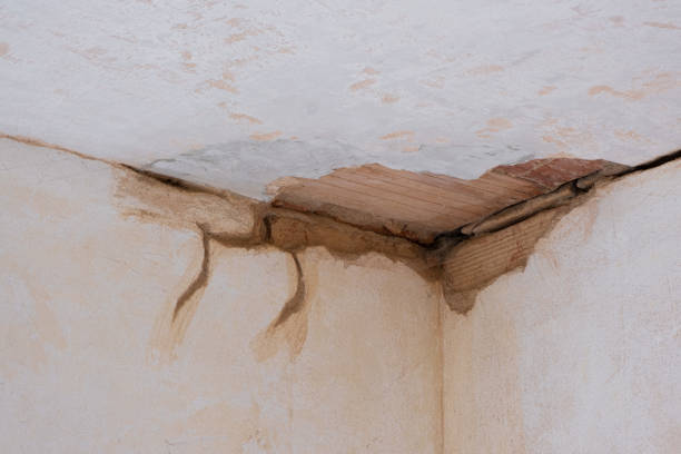 Best Water damage restoration cost  in Dallas Center, IA