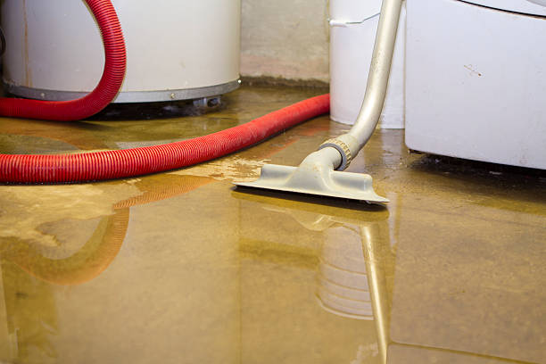 Best 24/7 water damage repair  in Dallas Center, IA