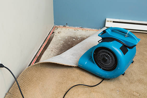 Best Sewage cleanup and water damage restoration  in Dallas Center, IA